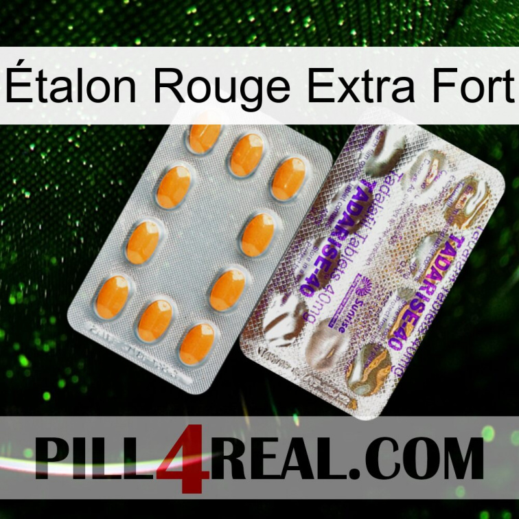 Étalon Rouge Extra Fort new12